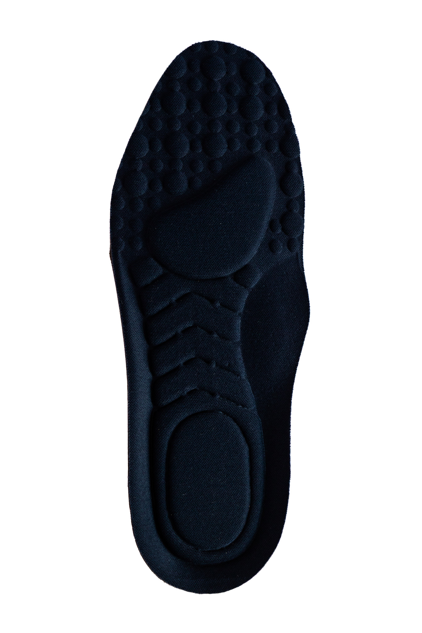 PLANTILLA ANATOMICA AZUL