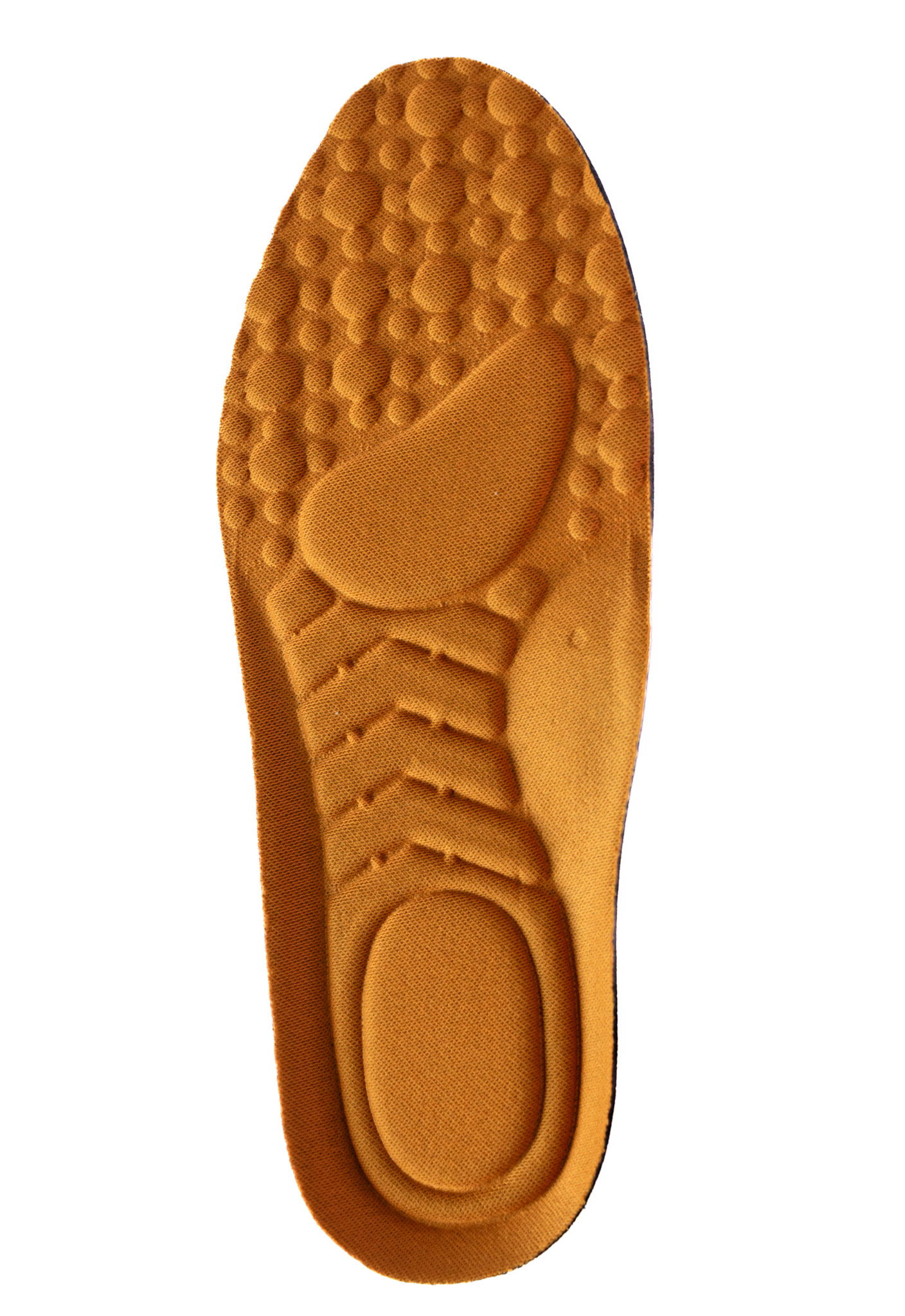 PLANTILLA ANATOMICA MIEL